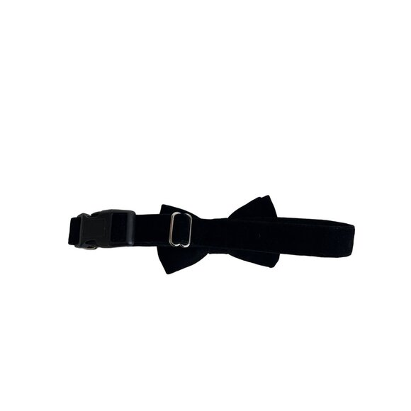 Max Bone Velvet Bow Tie Collar For Dogs - Picture 3 of 3